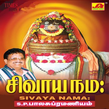 S. P. Balasubrahmanyam Malaiyallavae Malaiyallavae