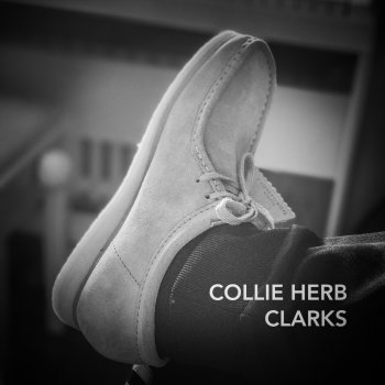 Collie Herb Clarks