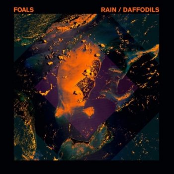 Foals Daffodils