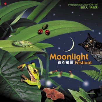 吳金黛 夜的精靈