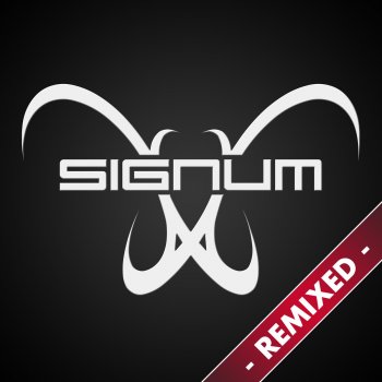 Signum What Ya Got 4 Me (Ron Hagen & Al- Exander Remix)