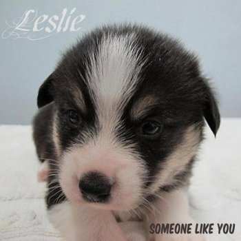 Leslie Someone Like You