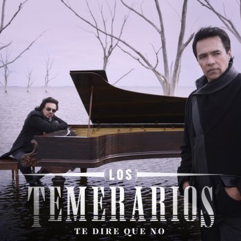 Los Temerarios Te Diré Que No