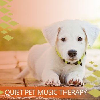 Pet Music Academy Tranquil Treasure