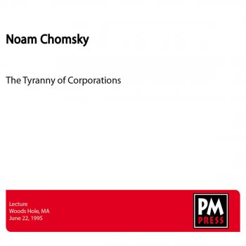 Noam Chomsky The Health of the Economy