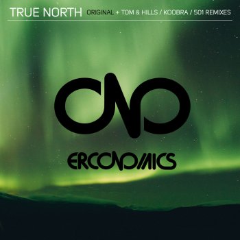 Erconomics True North - 501 Remix
