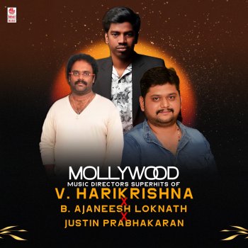 Preetha Engunee Hariye (From "Kurukshethra")