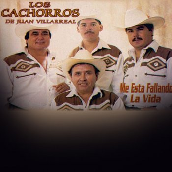 Los Cachorros de Juan Villarreal Joven Paloma