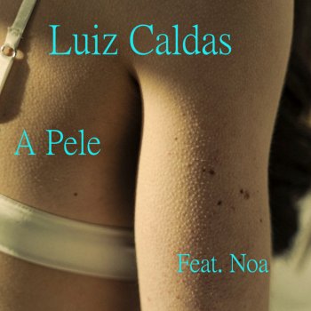 Luiz Caldas Pedaço do Universo
