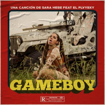 Sara Hebe Gameboy