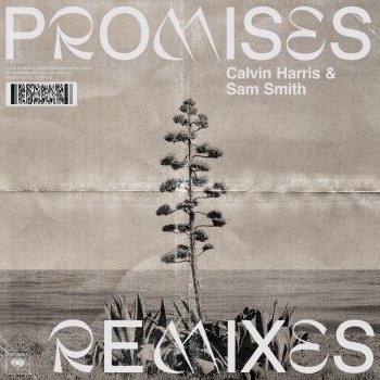 Calvin Harris feat. Sam Smith & David Guetta Promises (with Sam Smith) - David Guetta Remix