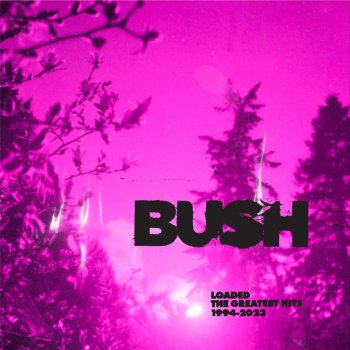 Bush Glycerine