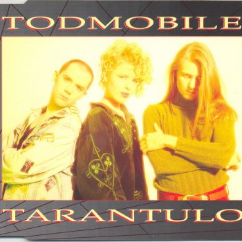 Todmobile I'm hearing vocies