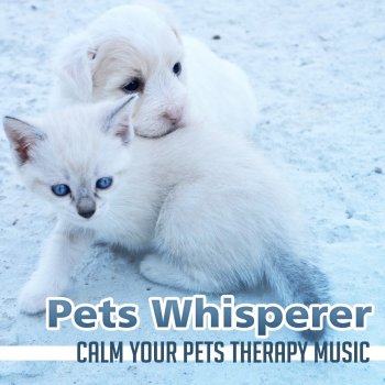 Pet Music Academy Relaxing Music for Dogs