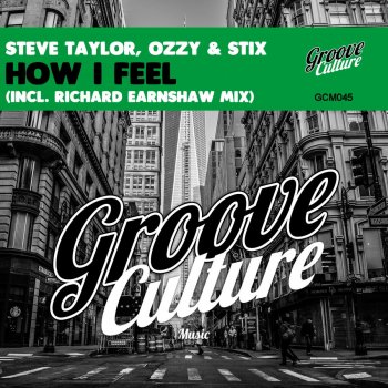 Steve Taylor & Ozzy & Stix How I Feel (Richard Earnshaw Mix)