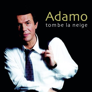 Adamo feat. Salvatore Adamo Les belles erreurs