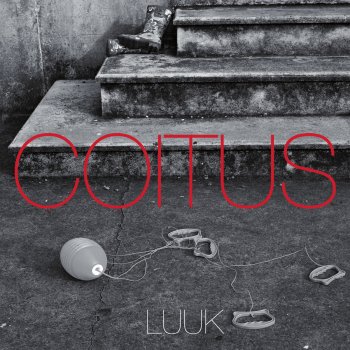 Luuk Coitus