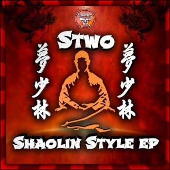 Stwo Shadow Technique - Original Mix