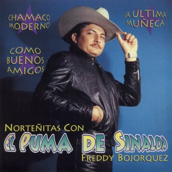 El Puma De Sinaloa Tonta