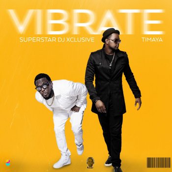 Исполнитель Timaya, альбом Vibrate