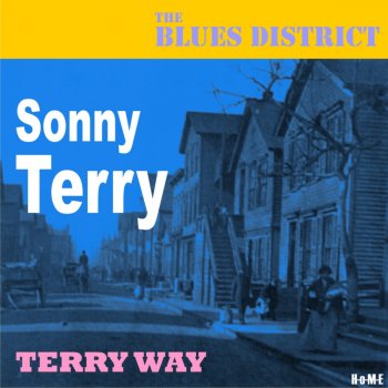 Sonny Terry Harmonica and Washboard Breakdown (Remastered)