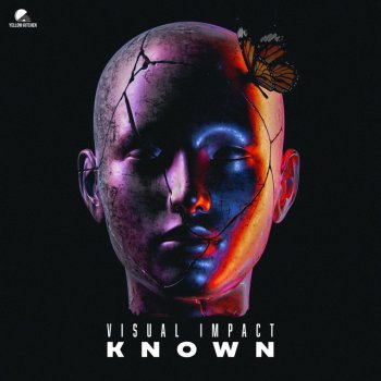 Visual Impact Known (Extended Mix)