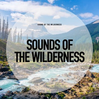 Sound of the Wilderness Tender Twilit