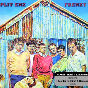 Split Enz Give It A Whirl