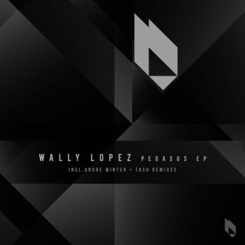 Wally Lopez The Gypsy Moon - Original Mix