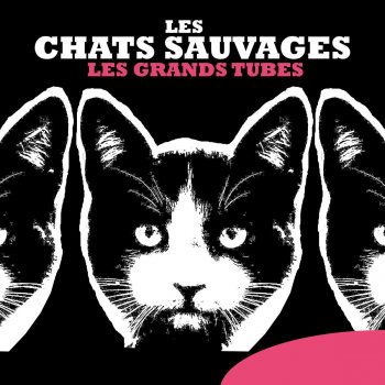 Les Chats Sauvages Trois en amour