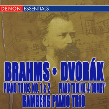 Johannes Brahms feat. Bamberg Piano Trio Piano Trio No. 2 in C Major, Op. 87: II. Andante con moto