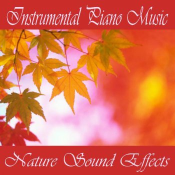 Instrumental Piano Music Nature's Nighttime