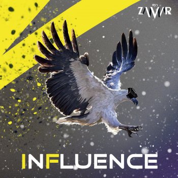 Zamar Influence