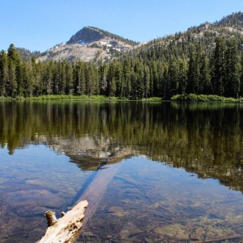 Исполнитель Jungle Sounds, альбом Jungle Sounds – Watery Sounds Ambient LakeSide