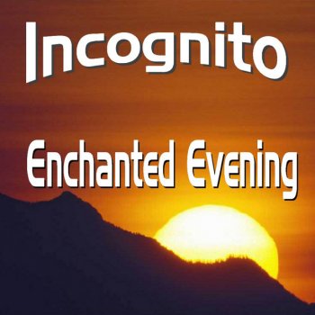 Incognito Horizons