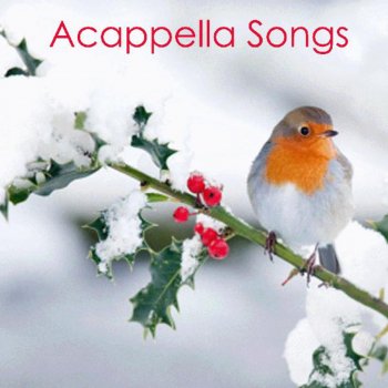 Acapella Little Drummer Boy