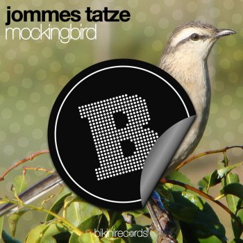 Jommes Tatze Mockingbird (Daniel Defekt Remix)