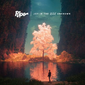 Ripe Downward