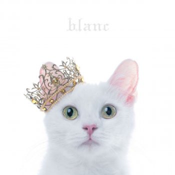 Aimer Kachoufugetsu