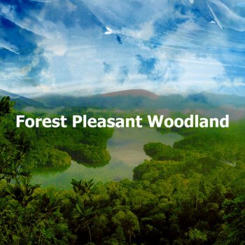 Исполнитель The Sounds of Earth Group, альбом Forest Pleasant Woodland