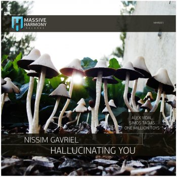 Исполнитель Nissim Gavriel, альбом Hallucinating You