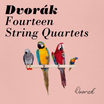 Prague String Quartet String Quartet No.9 in D minor, op.34 B.75 : 1. Allegro