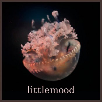 littlemood Heartbeat 10,000