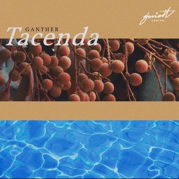 Ganther feat. Lex Gaisler Mauve - Lex Gaisler Remix
