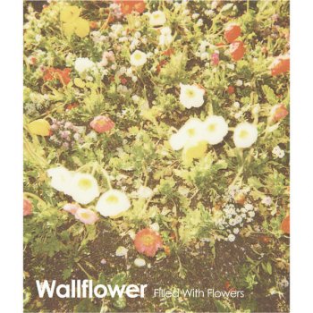 Wallflower Cure Your Heart