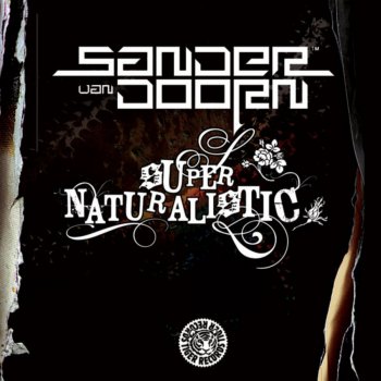 Sander van Doorn Outrospective