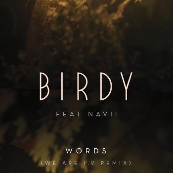 Birdy, Navii, Blonde & We Are I.V Words - We Are I.V Remix; feat. Navii