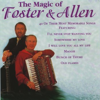 Foster feat. Allen Iill Never Stop Wanting You