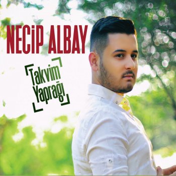 Necip Albay Potpori