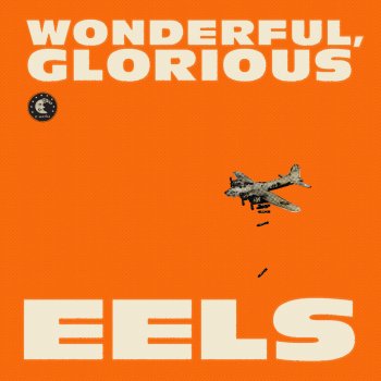 Eels In My Dreams (Live 2010)